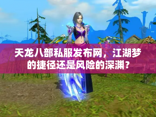 天龙八部私服发布网，江湖梦的捷径还是风险的深渊？