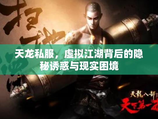 天龙私服，虚拟江湖背后的隐秘诱惑与现实困境