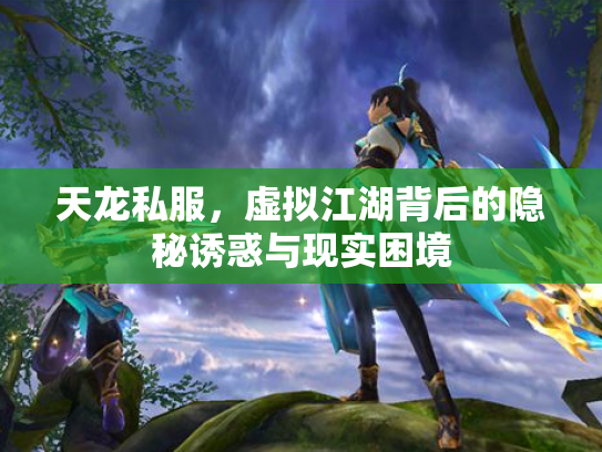 天龙私服，虚拟江湖背后的隐秘诱惑与现实困境