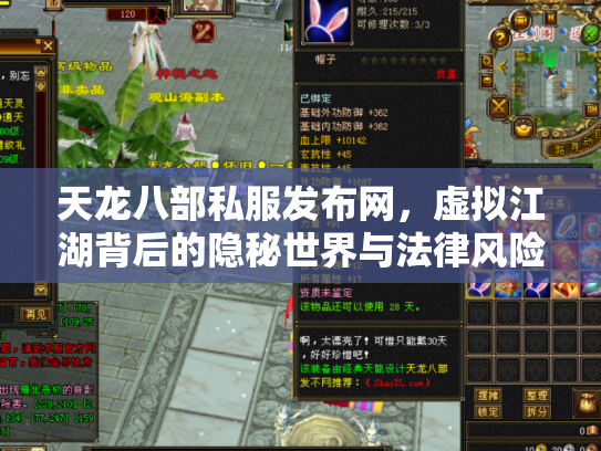 天龙八部私服发布网，虚拟江湖背后的隐秘世界与法律风险