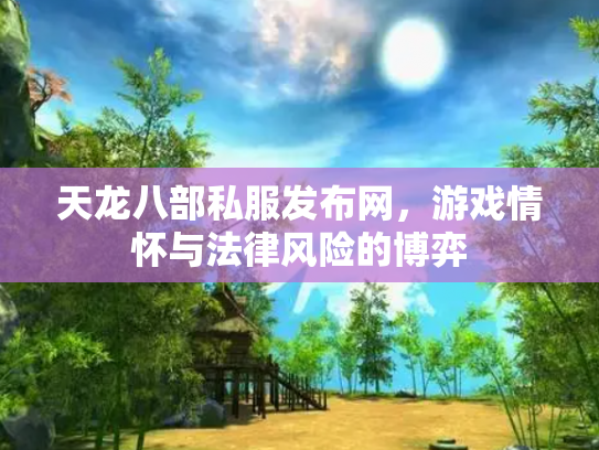 天龙八部私服发布网，游戏情怀与法律风险的博弈