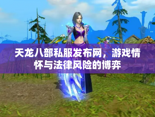 天龙八部私服发布网，游戏情怀与法律风险的博弈