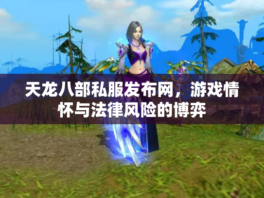 天龙八部私服发布网，游戏情怀与法律风险的博弈