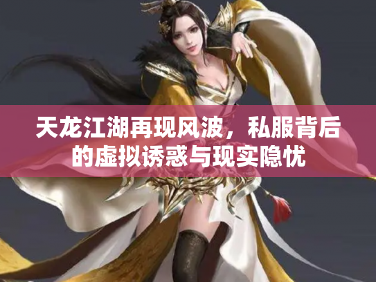 天龙江湖再现风波，私服背后的虚拟诱惑与现实隐忧