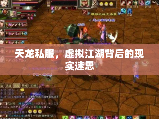 天龙私服，虚拟江湖背后的现实迷思