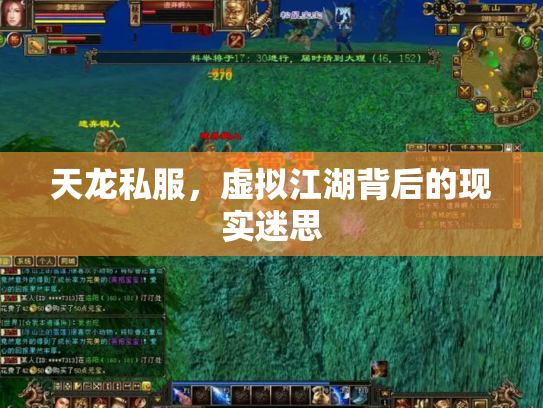天龙私服，虚拟江湖背后的现实迷思