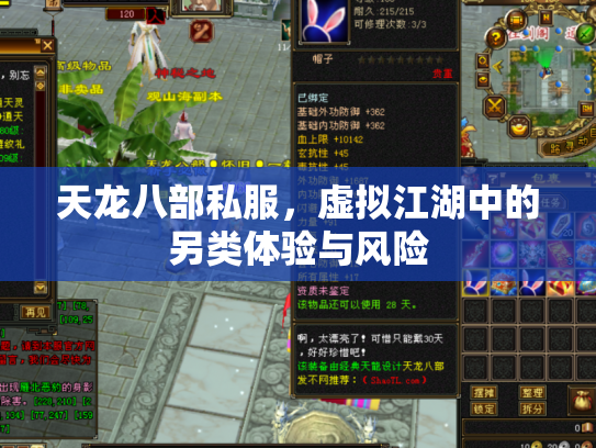 天龙八部私服，虚拟江湖中的另类体验与风险