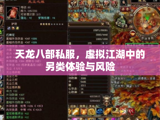 天龙八部私服，虚拟江湖中的另类体验与风险