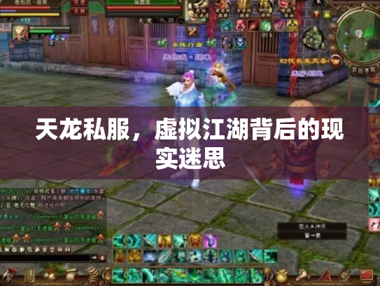 天龙私服，虚拟江湖背后的现实迷思