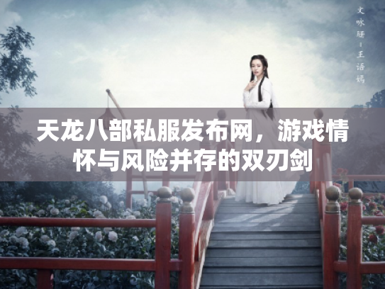 天龙八部私服发布网，游戏情怀与风险并存的双刃剑
