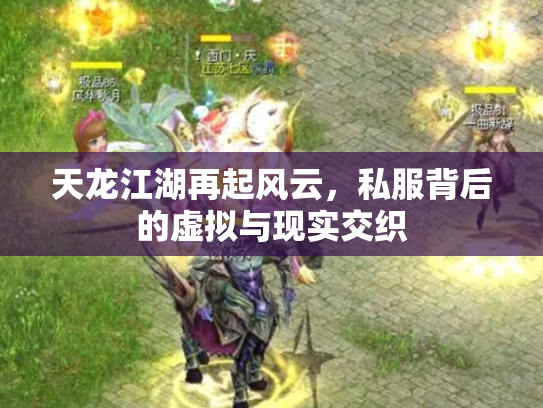 天龙江湖再起风云，私服背后的虚拟与现实交织