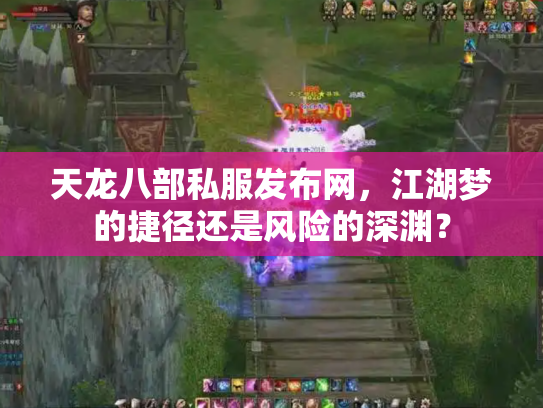 天龙八部私服发布网，江湖梦的捷径还是风险的深渊？