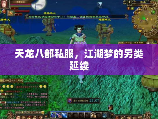 天龙八部私服，江湖梦的另类延续