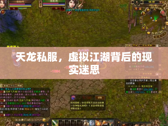 天龙私服，虚拟江湖背后的现实迷思