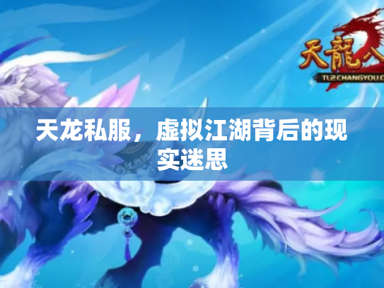 天龙私服，虚拟江湖背后的现实迷思