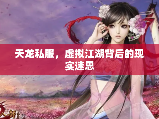 天龙私服，虚拟江湖背后的现实迷思