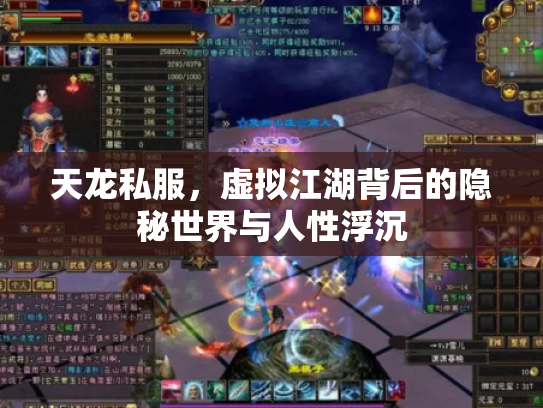 天龙私服，虚拟江湖背后的隐秘世界与人性浮沉