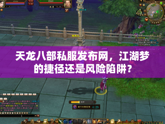 天龙八部私服发布网，江湖梦的捷径还是风险陷阱？