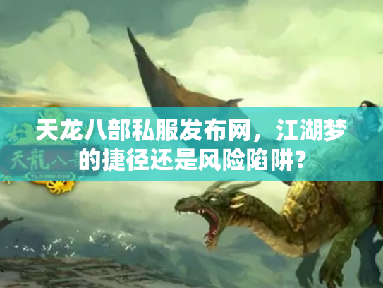 天龙八部私服发布网，江湖梦的捷径还是风险陷阱？