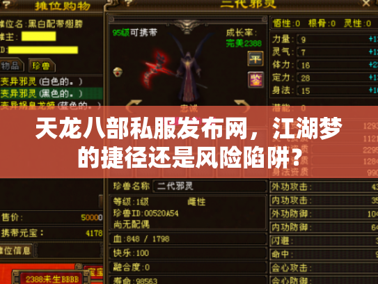 天龙八部私服发布网，江湖梦的捷径还是风险陷阱？