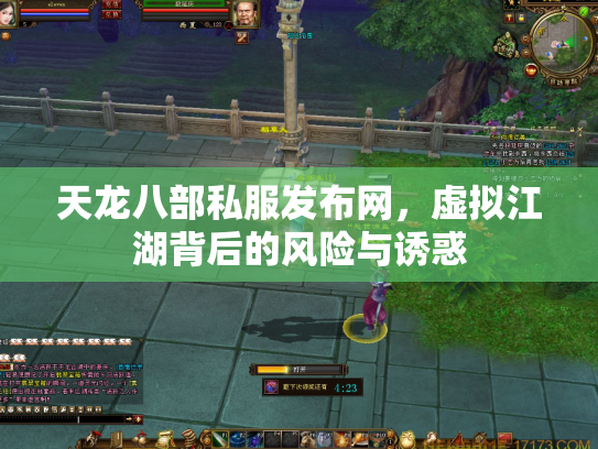 天龙八部私服发布网，虚拟江湖背后的风险与诱惑