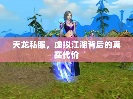 天龙私服，虚拟江湖背后的真实代价