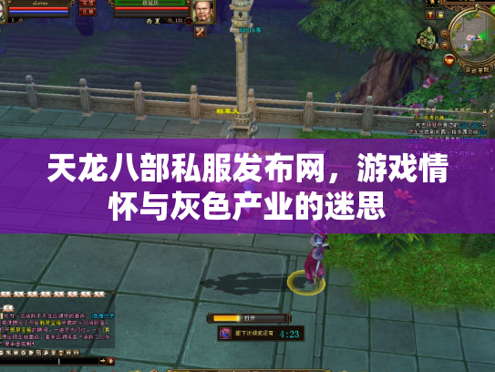 天龙八部私服发布网，游戏情怀与灰色产业的迷思