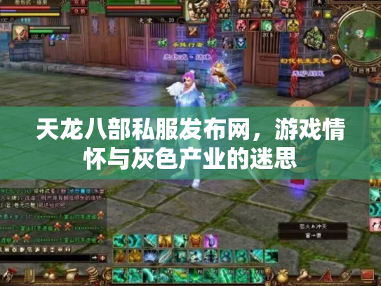 天龙八部私服发布网，游戏情怀与灰色产业的迷思