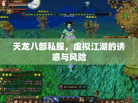 天龙八部私服，虚拟江湖的诱惑与风险