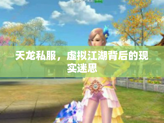 天龙私服，虚拟江湖背后的现实迷思
