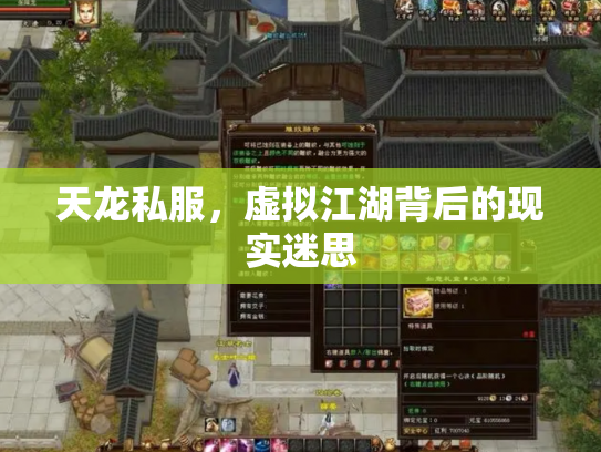 天龙私服，虚拟江湖背后的现实迷思