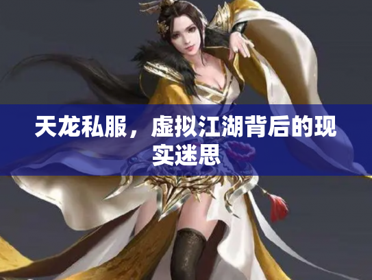 天龙私服，虚拟江湖背后的现实迷思