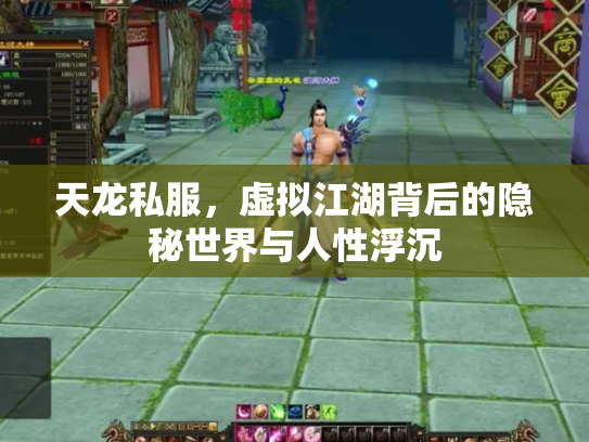 天龙私服，虚拟江湖背后的隐秘世界与人性浮沉