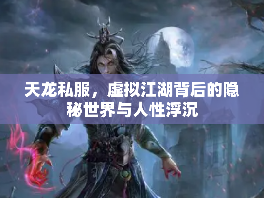 天龙私服，虚拟江湖背后的隐秘世界与人性浮沉
