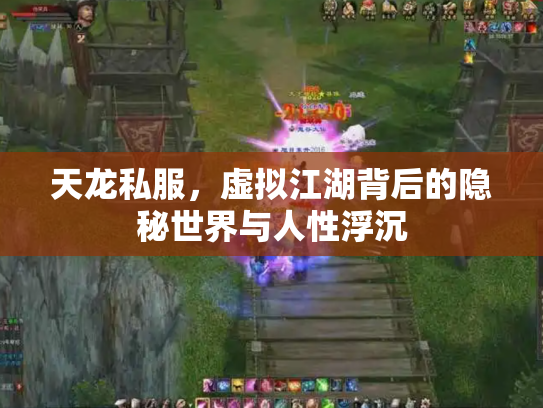 天龙私服，虚拟江湖背后的隐秘世界与人性浮沉