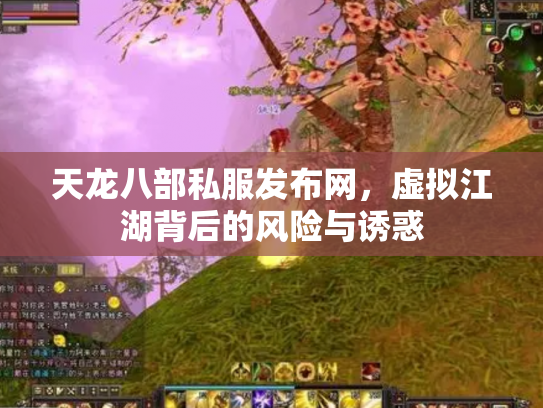 天龙八部私服发布网，虚拟江湖背后的风险与诱惑