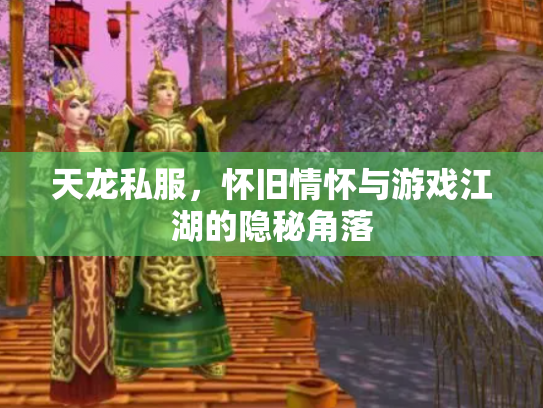 天龙私服，怀旧情怀与游戏江湖的隐秘角落