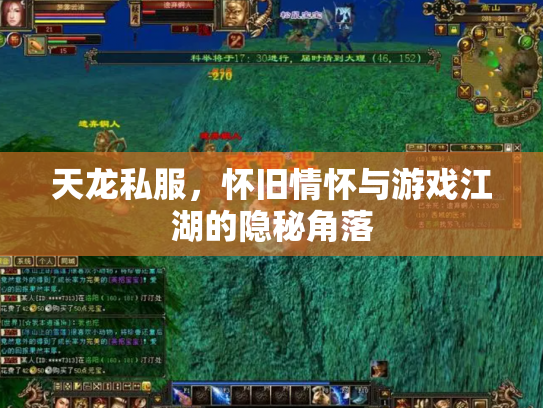 天龙私服，怀旧情怀与游戏江湖的隐秘角落