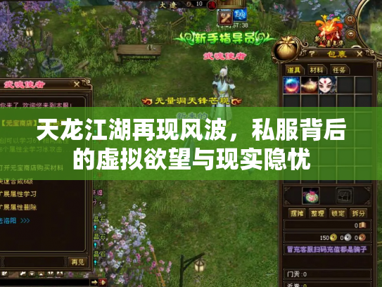 天龙江湖再现风波，私服背后的虚拟欲望与现实隐忧
