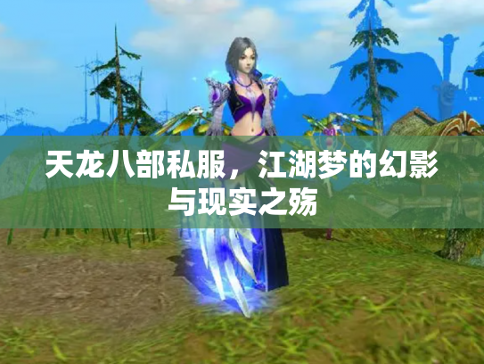 天龙八部私服，江湖梦的幻影与现实之殇