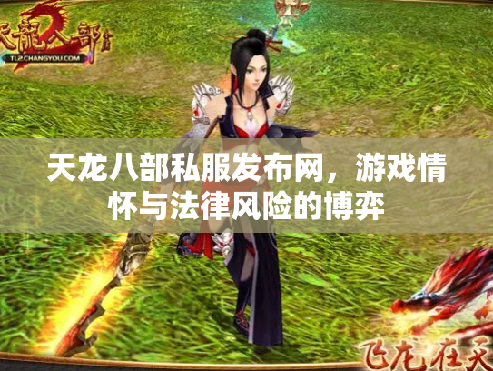 天龙八部私服发布网，游戏情怀与法律风险的博弈