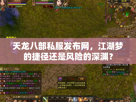天龙八部私服发布网，江湖梦的捷径还是风险的深渊？