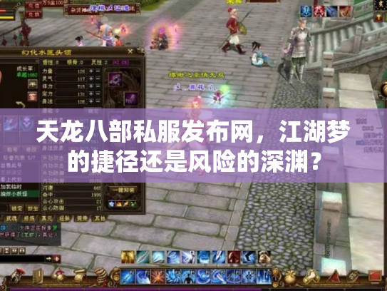 天龙八部私服发布网，江湖梦的捷径还是风险的深渊？