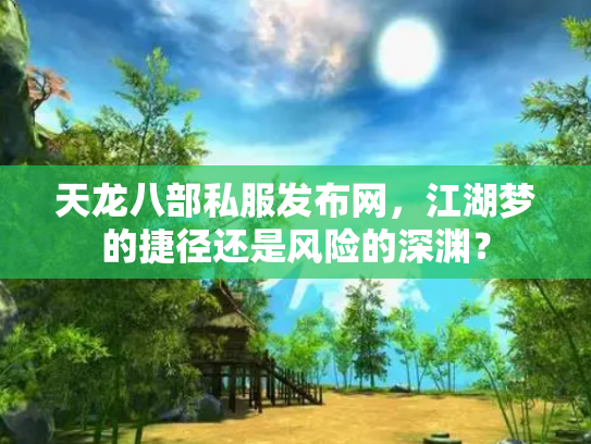 天龙八部私服发布网，江湖梦的捷径还是风险的深渊？