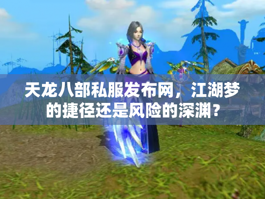 天龙八部私服发布网，江湖梦的捷径还是风险的深渊？