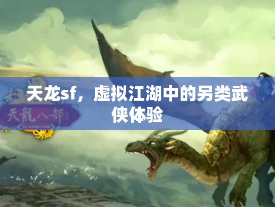天龙sf，虚拟江湖中的另类武侠体验