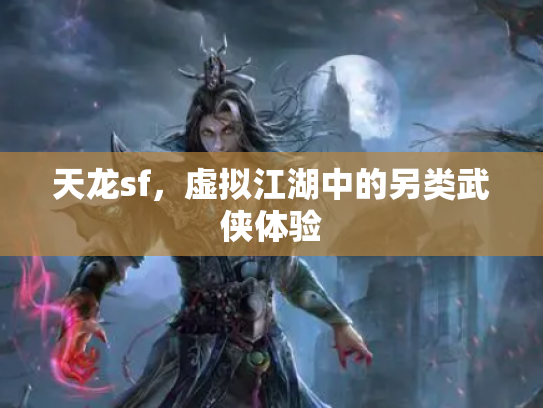 天龙sf，虚拟江湖中的另类武侠体验