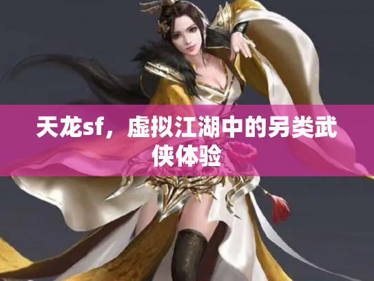 天龙sf，虚拟江湖中的另类武侠体验