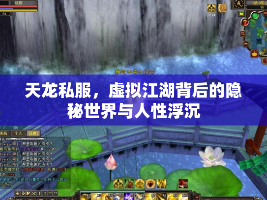 天龙私服，虚拟江湖背后的隐秘世界与人性浮沉