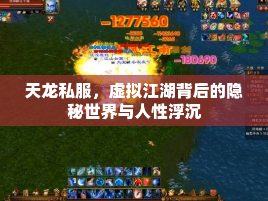 天龙私服，虚拟江湖背后的隐秘世界与人性浮沉
